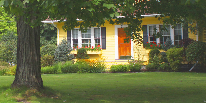 house with trees in the front yard